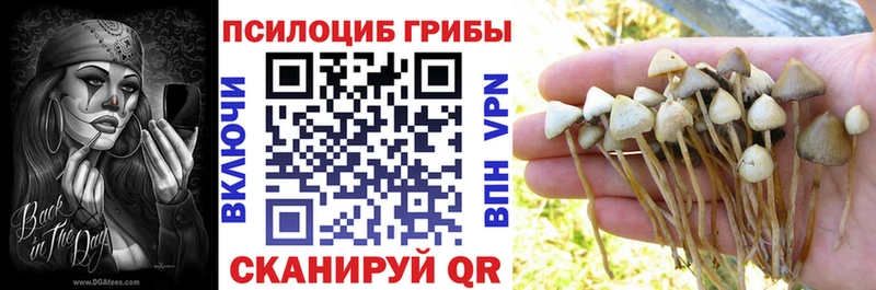 Галлюциногенные грибы Psilocybine cubensis Александровск